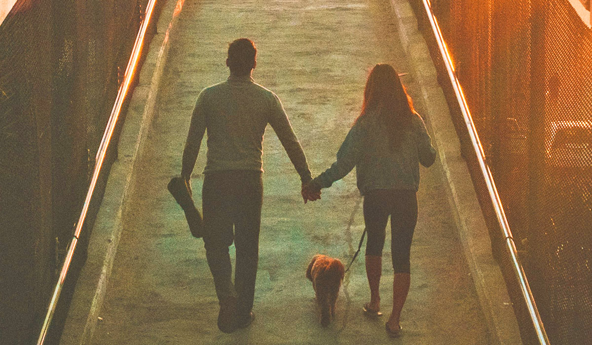Couple holding hands and walking with their dog